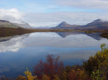 still waters double the beauty