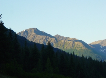 Kenai at Bertha Creek